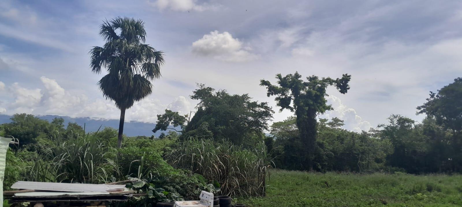 Sixth image of Harmony Lane, Santa Cruz in Santa Cruz, St. Elizabeth, Jamaica - property is For Sale