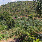 First image of Lot 39 Bella Vista , Aris Avenue in Red Hills, St. Andrew, Jamaica - property is For Sale
