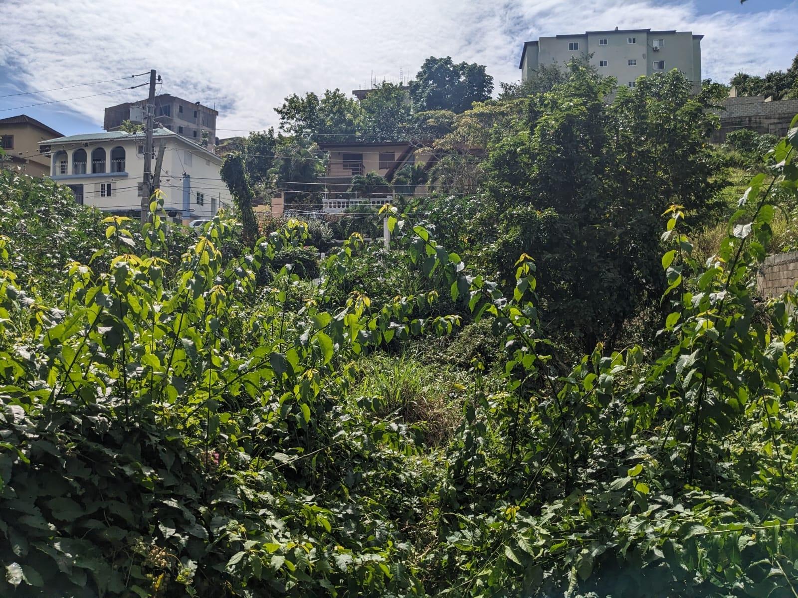 Third image of Lot 39 Bella Vista , Aris Avenue in Red Hills, St. Andrew, Jamaica - property is For Sale