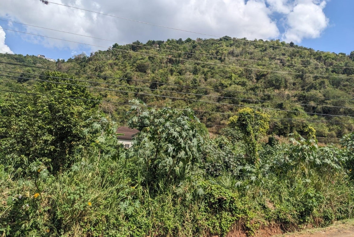Fifth image of Lot 39 Bella Vista , Aris Avenue in Red Hills, St. Andrew, Jamaica - property is For Sale