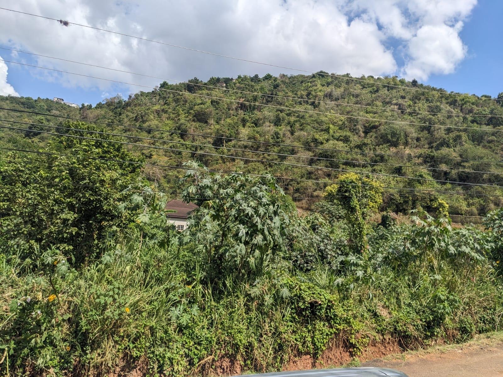 Fifth image of Lot 39 Bella Vista , Aris Avenue in Red Hills, St. Andrew, Jamaica - property is For Sale