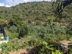 First image of Lot 39 Bella Vista , Aris Avenue in Red Hills, St. Andrew, Jamaica - property is For Sale