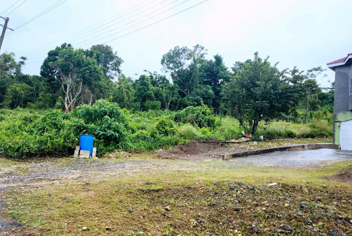 Third image of Lot 249 Minard Estate, St. Ann in Browns Town, St. Ann, Jamaica - property is For Sale