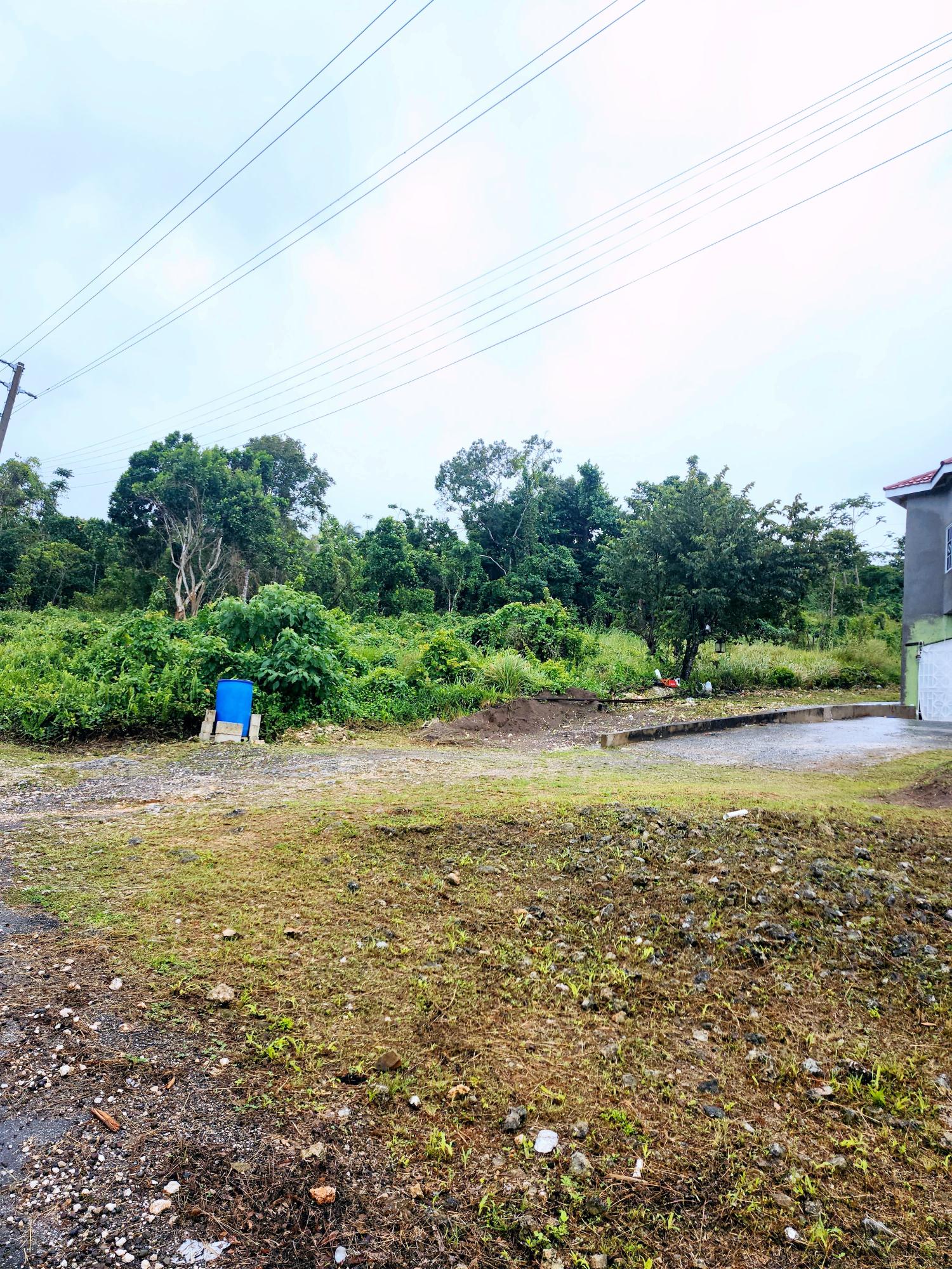 Third image of Lot 249 Minard Estate, St. Ann in Browns Town, St. Ann, Jamaica - property is For Sale