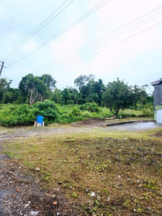 Third image of Lot 249 Minard Estate, St. Ann in Browns Town, St. Ann, Jamaica - property is For Sale