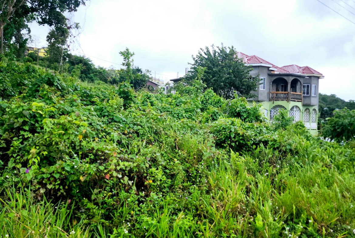 Fourth image of Lot 249 Minard Estate, St. Ann in Browns Town, St. Ann, Jamaica - property is For Sale