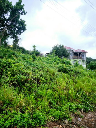 Fourth image of Lot 249 Minard Estate, St. Ann in Browns Town, St. Ann, Jamaica - property is For Sale