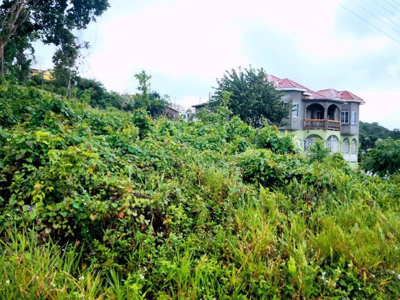 First image of Lot 249 Minard Estate, St. Ann in Browns Town, St. Ann, Jamaica - property is For Sale