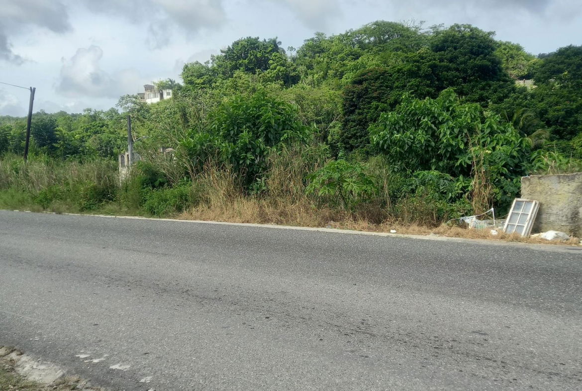 Third image of Lot 7 Pheonix Park in Moneague, St. Ann, Jamaica - property is For Sale