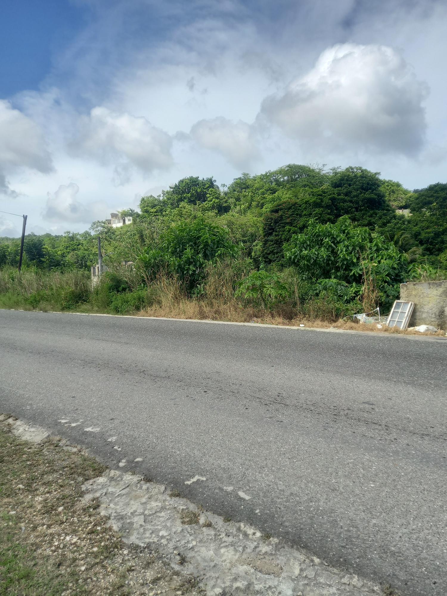 Residential-Lot-for-Sale-in-St.-Ann-Jamaica-Build-Your-Dream-Home Third image of Lot 7 Pheonix Park in Moneague, St. Ann, Jamaica - property is For Sale