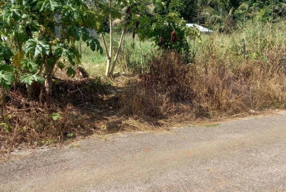 Fifth image of Lot 7 Pheonix Park in Moneague, St. Ann, Jamaica - property is For Sale