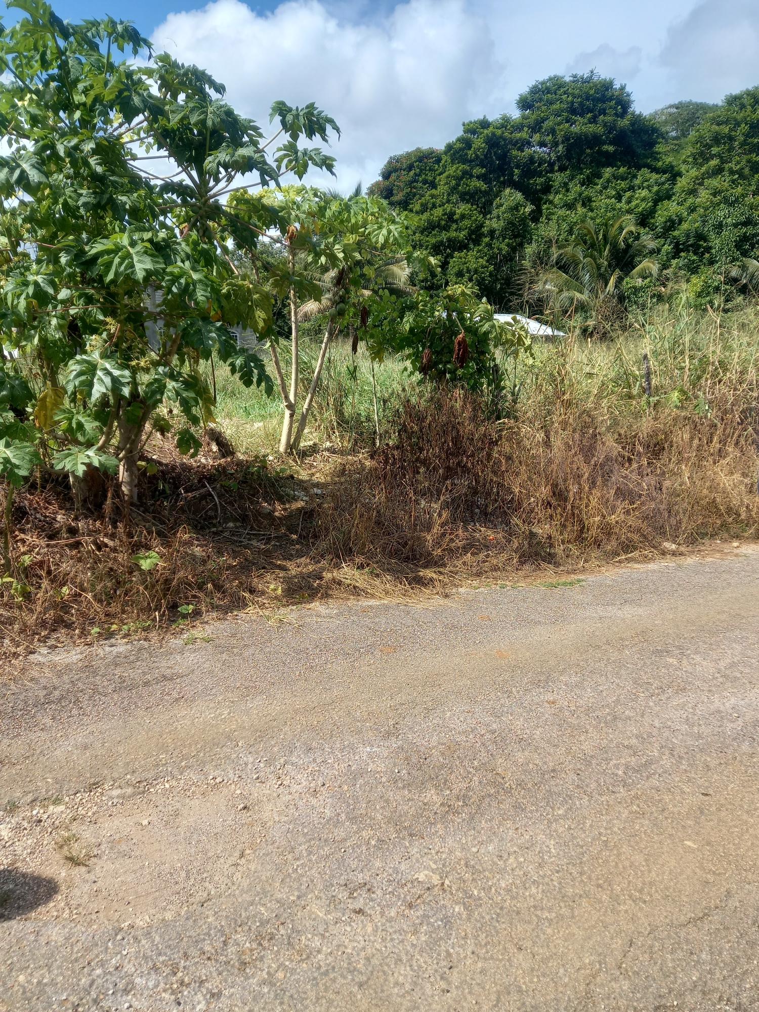 Residential-Lot-for-Sale-in-St.-Ann-Jamaica-Build-Your-Dream-Home Fifth image of Lot 7 Pheonix Park in Moneague, St. Ann, Jamaica - property is For Sale