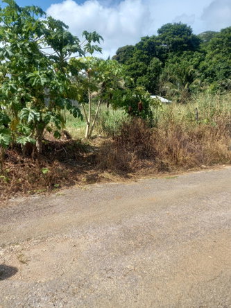 Fifth image of Lot 7 Pheonix Park in Moneague, St. Ann, Jamaica - property is For Sale