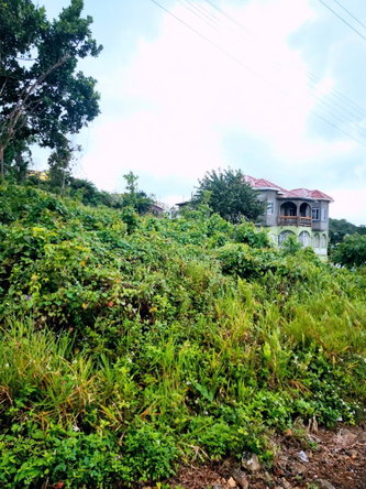 First image of Lot 249 Minard Estate, St. Ann in Browns Town, St. Ann, Jamaica - property is For Sale