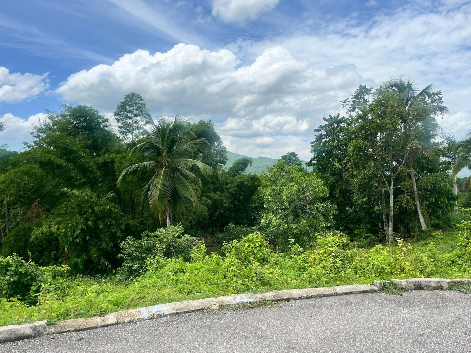 Residential-Lot-for-Sale-in-St.-Catherine-Jamaica-14-Arthur-Drive First image of 14- Arthur Drive Shenton in Shenton, St. Catherine, Jamaica - property is For Sale
