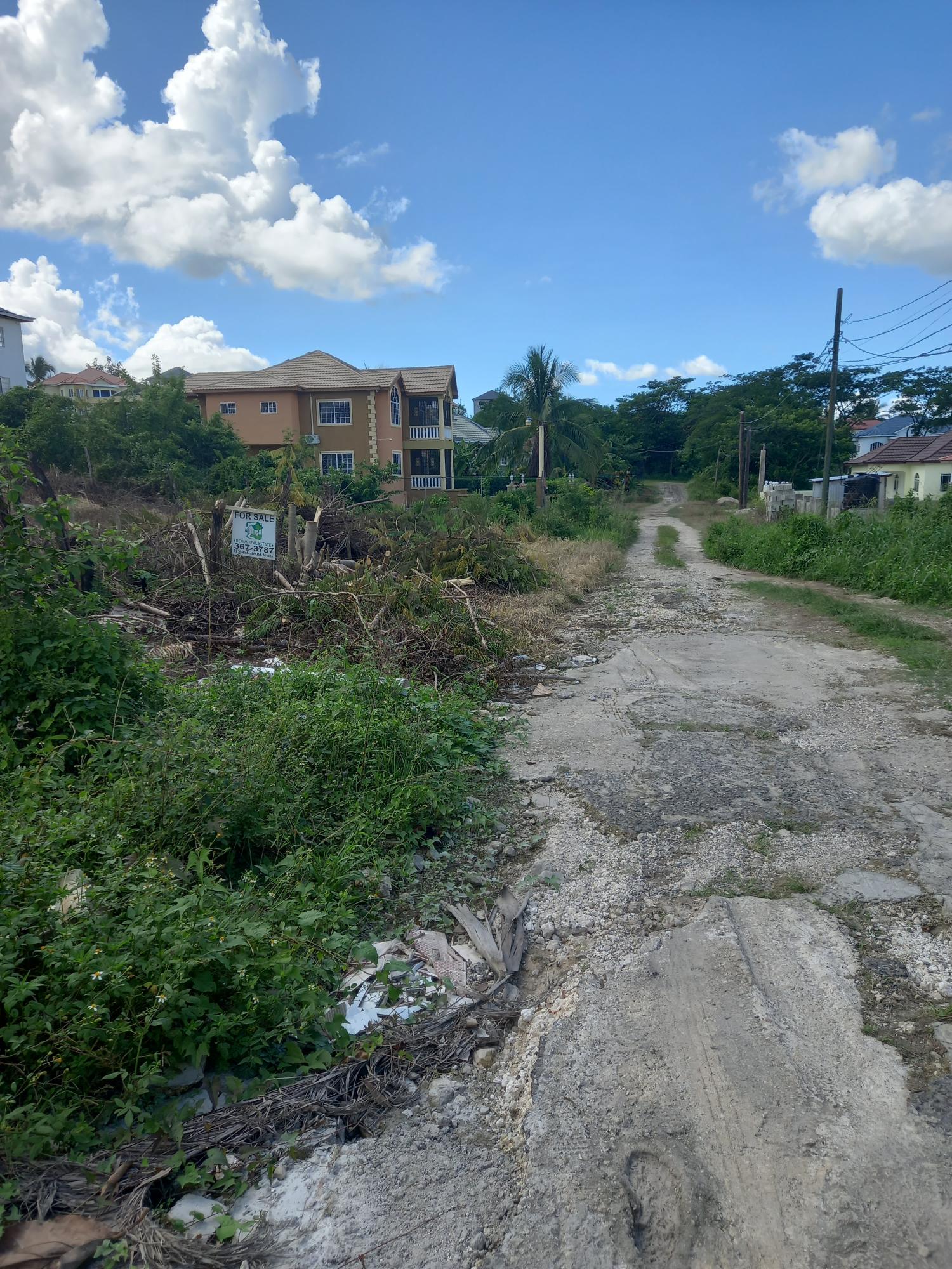 Fourth image of Lot 307 Beechwood Street , Santa in Santa Cruz, St. Elizabeth, Jamaica - property is For Sale