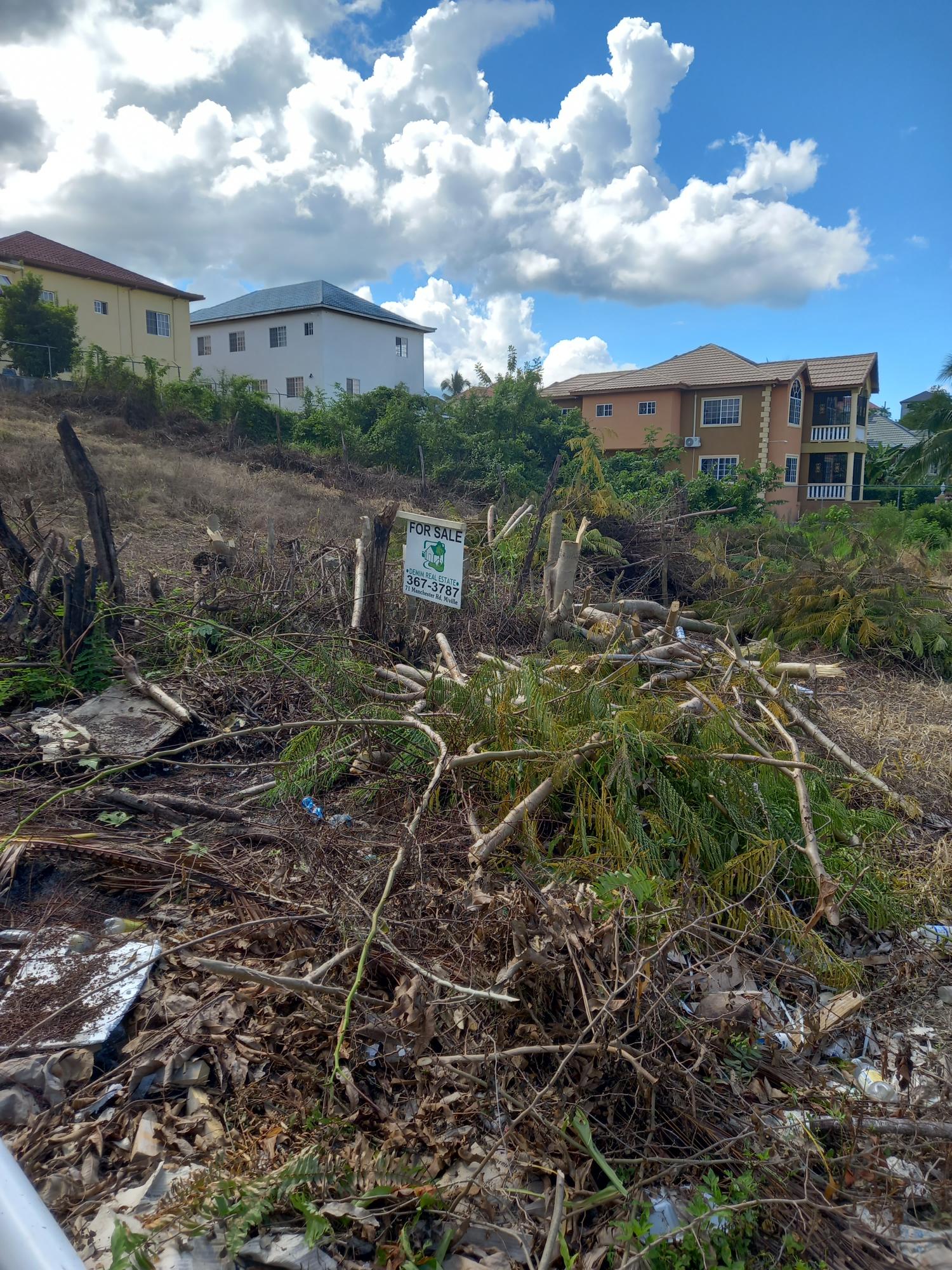 Fifth image of Lot 307 Beechwood Street , Santa in Santa Cruz, St. Elizabeth, Jamaica - property is For Sale