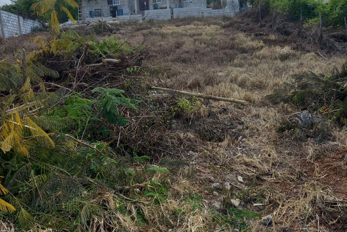 Sixth image of Lot 307 Beechwood Street , Santa in Santa Cruz, St. Elizabeth, Jamaica - property is For Sale