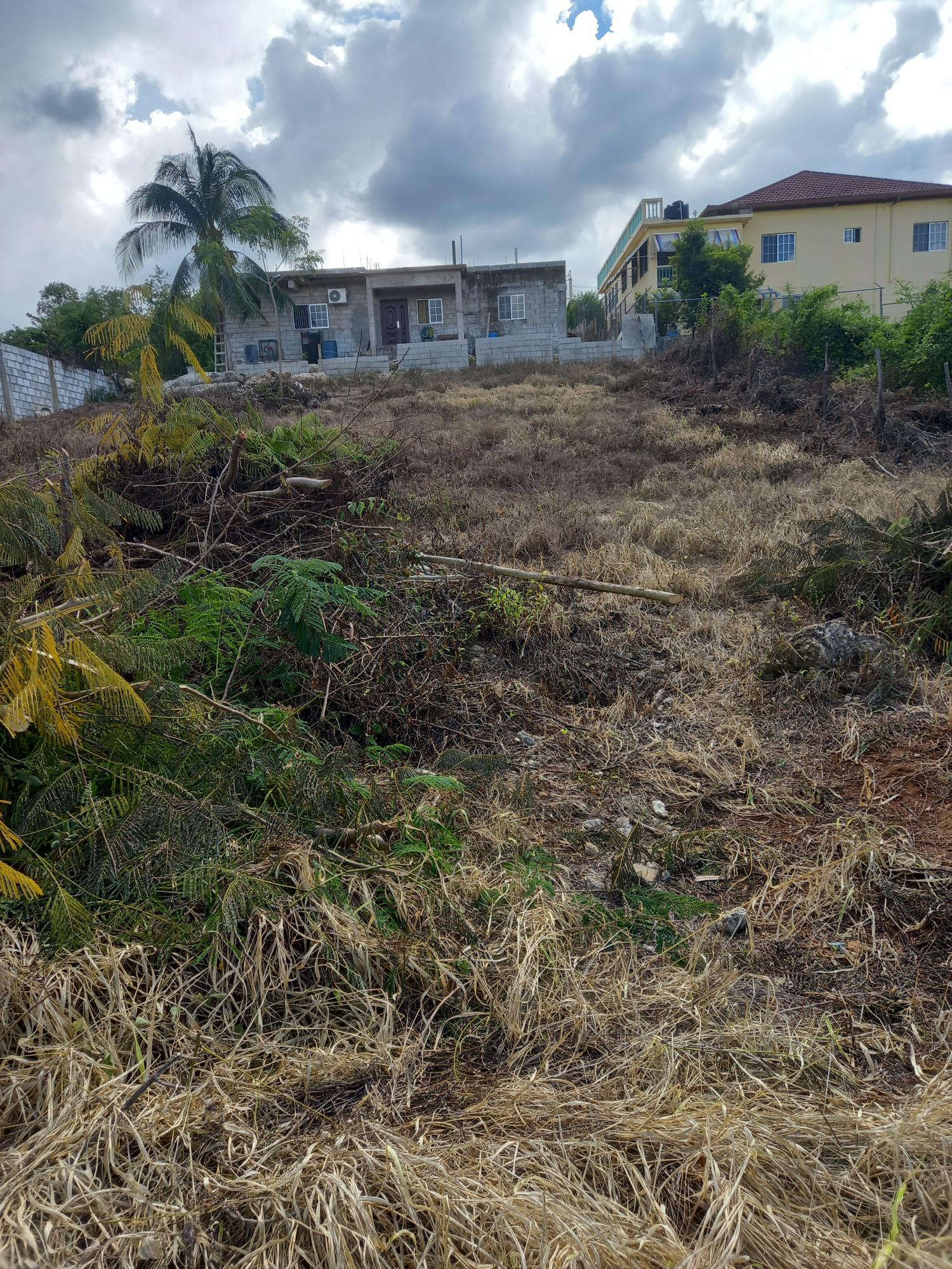 Sixth image of Lot 307 Beechwood Street , Santa in Santa Cruz, St. Elizabeth, Jamaica - property is For Sale