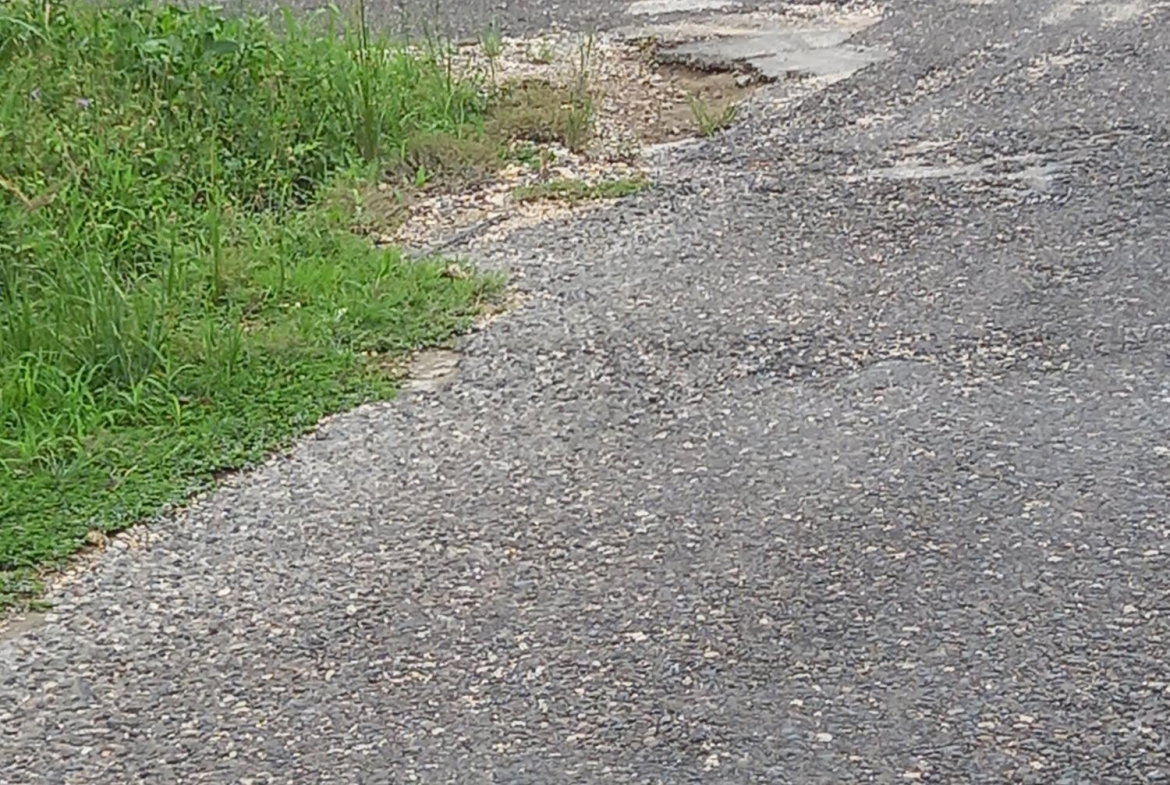 Second image of Lot 307 Beechwood Street , Santa in Santa Cruz, St. Elizabeth, Jamaica - property is For Sale