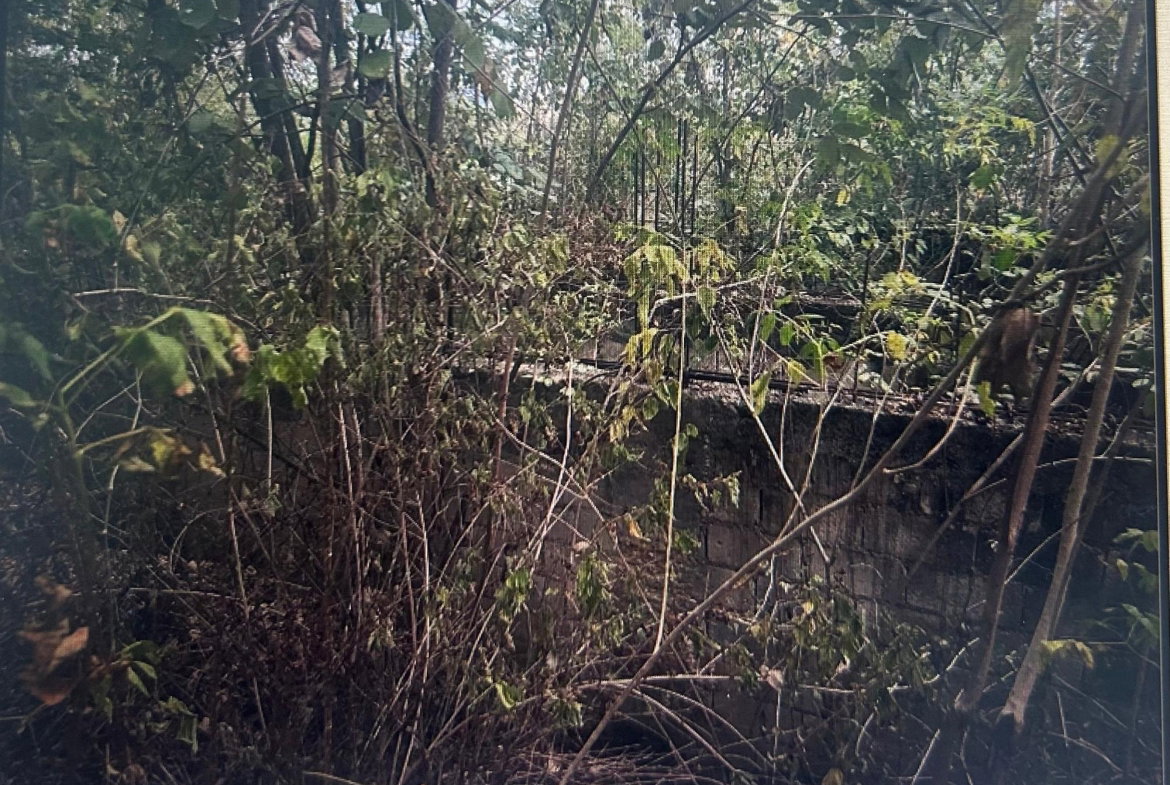 First image of Lot 141 Luana Pen Middle Quarters in Middle Quarters, St. Elizabeth, Jamaica - property is For Sale