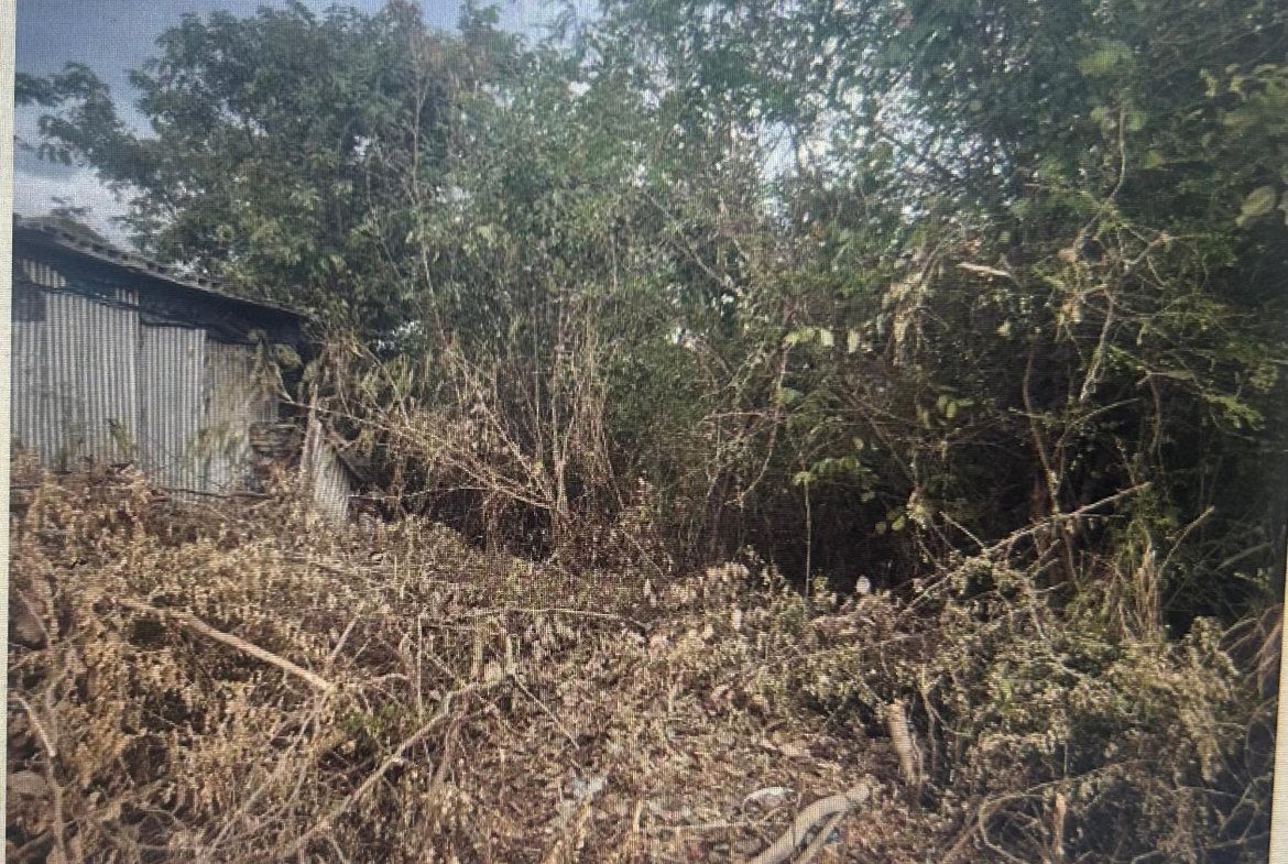 Third image of Lot 141 Luana Pen Middle Quarters in Middle Quarters, St. Elizabeth, Jamaica - property is For Sale