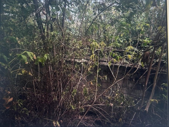 First image of Lot 141 Luana Pen Middle Quarters in Middle Quarters, St. Elizabeth, Jamaica - property is For Sale