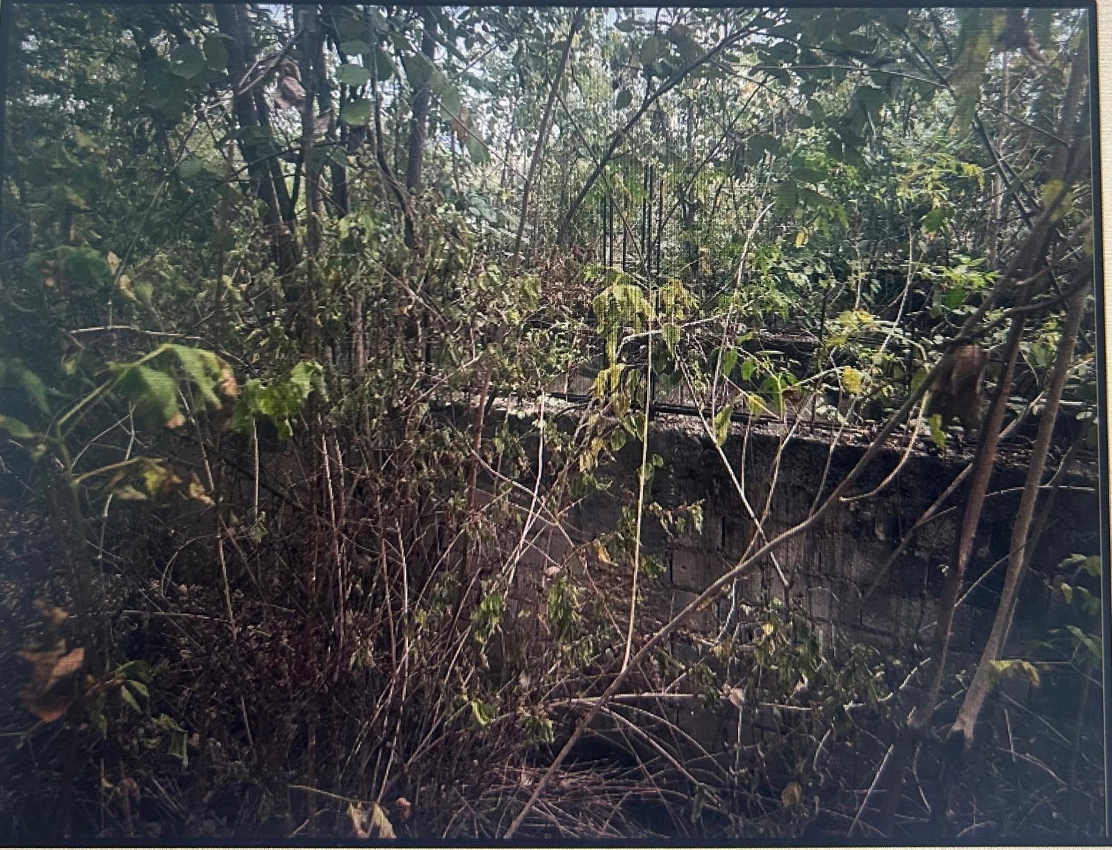 First image of Lot 141 Luana Pen Middle Quarters in Middle Quarters, St. Elizabeth, Jamaica - property is For Sale