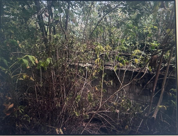 First image of Lot 141 Luana Pen Middle Quarters in Middle Quarters, St. Elizabeth, Jamaica - property is For Sale