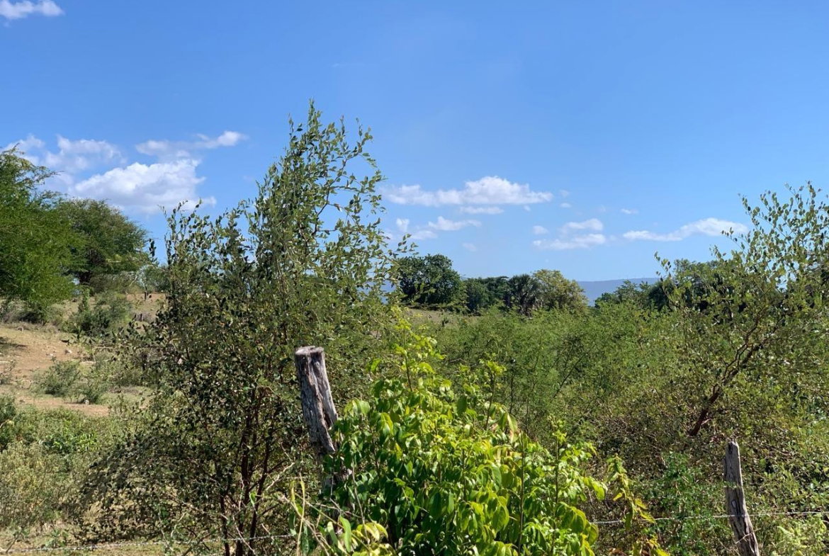 Second image of 81 New Town, Black River, st in NEWMARKET, St. Elizabeth, Jamaica - property is For Sale