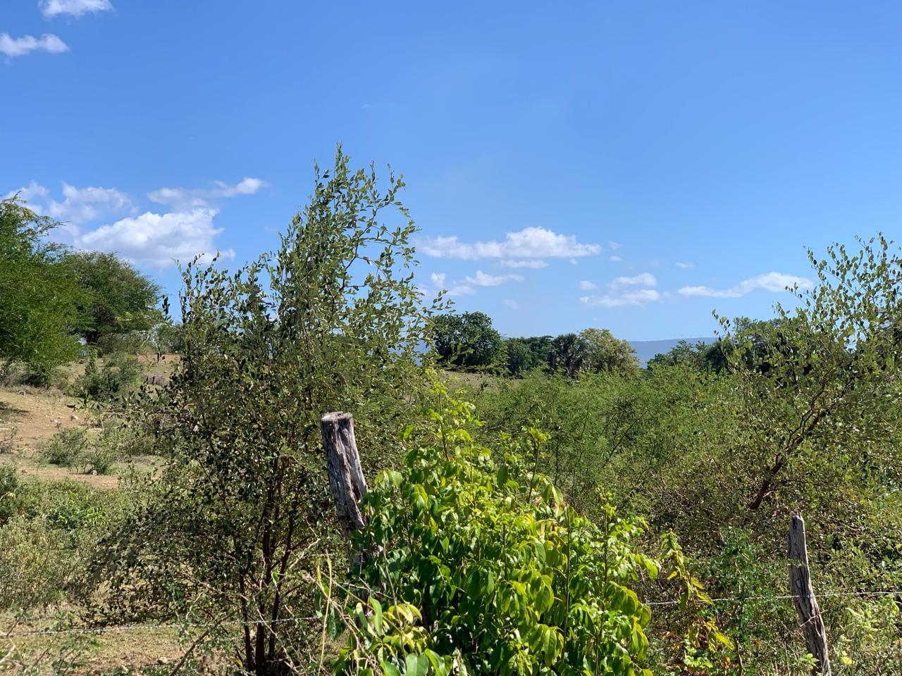 Second image of 81 New Town, Black River, st in NEWMARKET, St. Elizabeth, Jamaica - property is For Sale