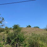 First image of 81 New Town, Black River, st in NEWMARKET, St. Elizabeth, Jamaica - property is For Sale