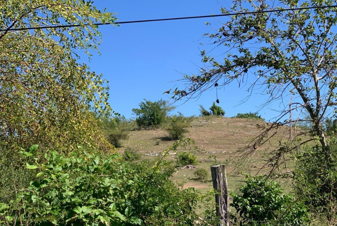 Third image of 81 New Town, Black River, st in NEWMARKET, St. Elizabeth, Jamaica - property is For Sale