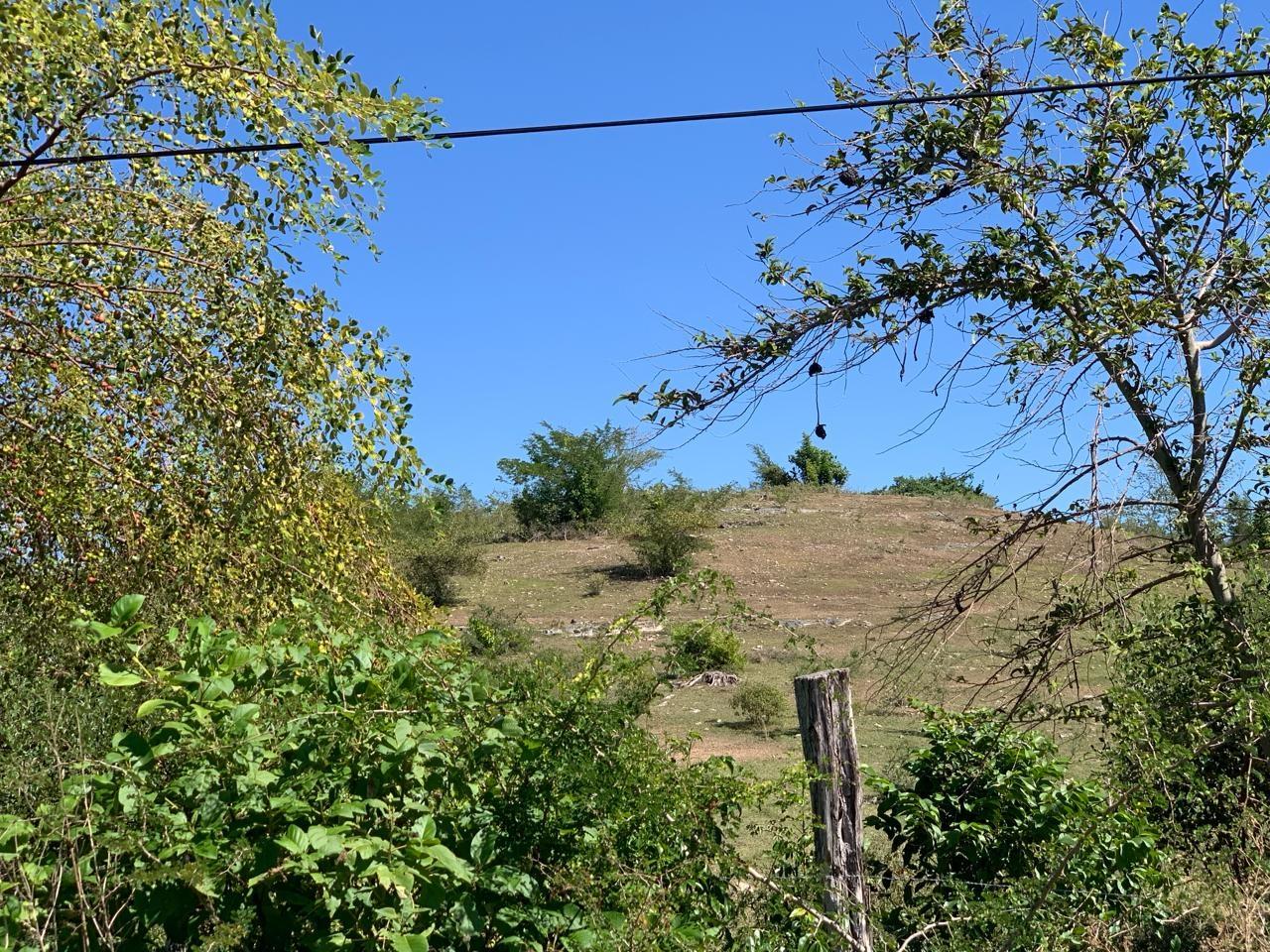 Third image of 81 New Town, Black River, st in NEWMARKET, St. Elizabeth, Jamaica - property is For Sale