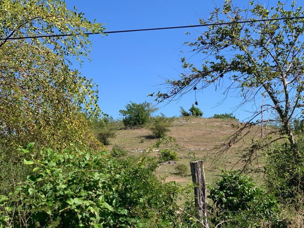 Third image of 81 New Town, Black River, st in NEWMARKET, St. Elizabeth, Jamaica - property is For Sale