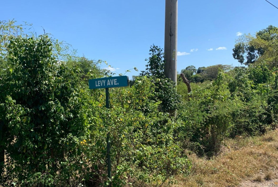 Fourth image of 81 New Town, Black River, st in NEWMARKET, St. Elizabeth, Jamaica - property is For Sale
