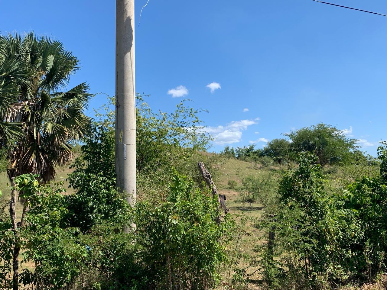 Fifth image of 81 New Town, Black River, st in NEWMARKET, St. Elizabeth, Jamaica - property is For Sale