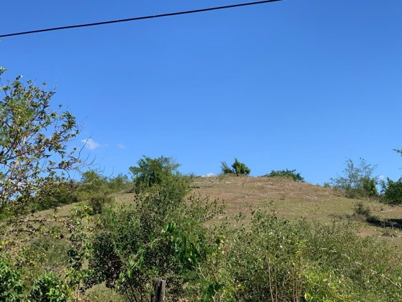 First image of 81 New Town, Black River, st in NEWMARKET, St. Elizabeth, Jamaica - property is For Sale