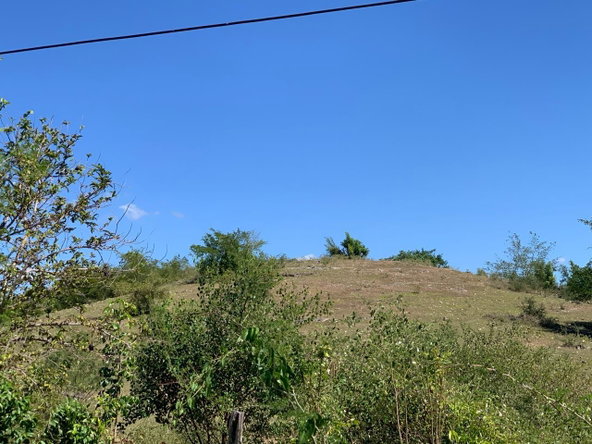First image of 81 New Town, Black River, st in NEWMARKET, St. Elizabeth, Jamaica - property is For Sale