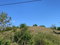 First image of 81 New Town, Black River, st in NEWMARKET, St. Elizabeth, Jamaica - property is For Sale