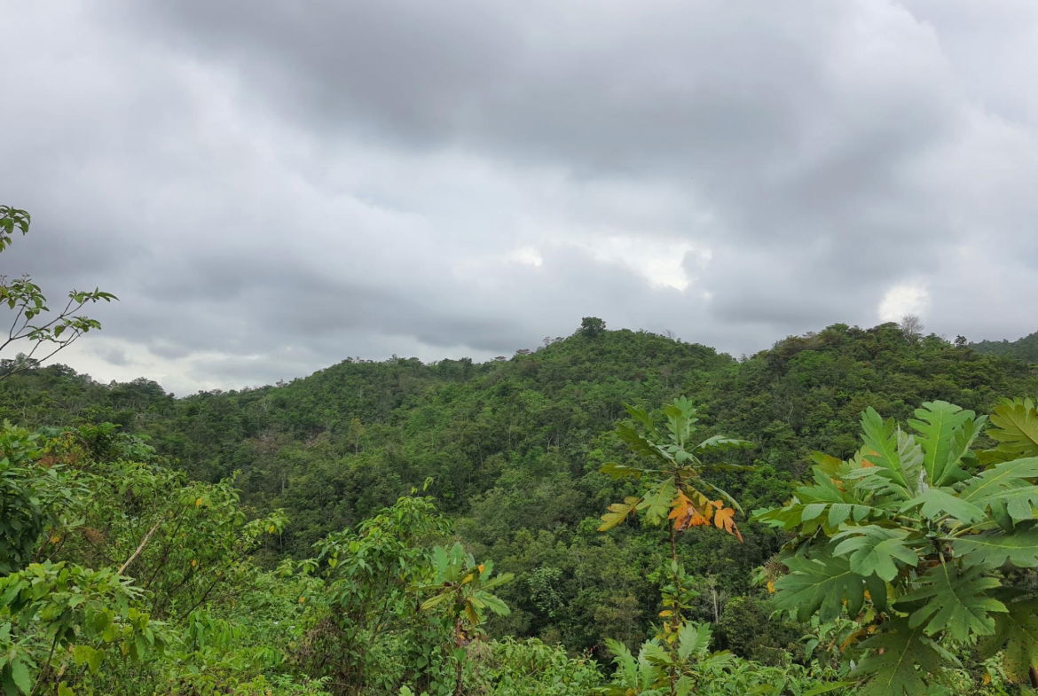 Second image of 50 Woodland Heights, Sterlin in Red Hills, St. Andrew, Jamaica - property is For Sale