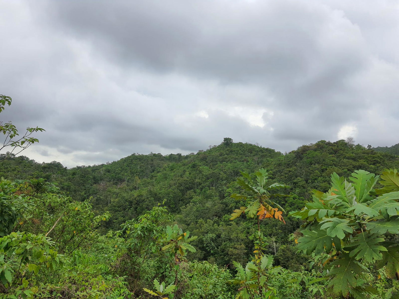 Second image of 50 Woodland Heights, Sterlin in Red Hills, St. Andrew, Jamaica - property is For Sale