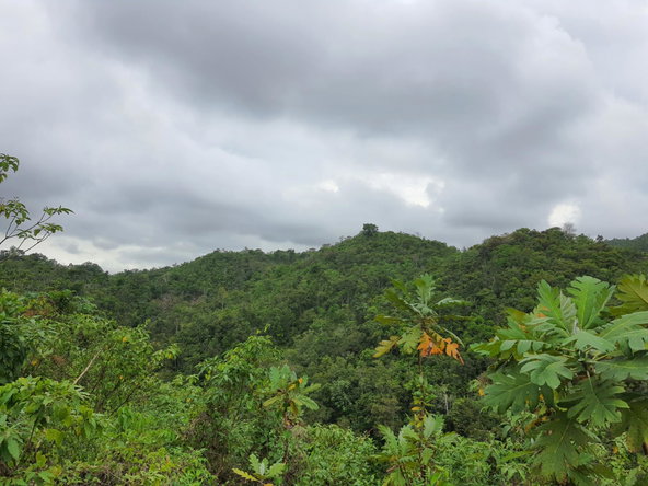 Second image of 50 Woodland Heights, Sterlin in Red Hills, St. Andrew, Jamaica - property is For Sale