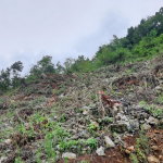 First image of 50 Woodland Heights, Sterlin in Red Hills, St. Andrew, Jamaica - property is For Sale