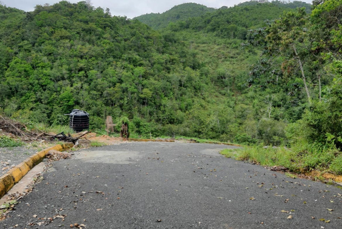 Third image of 50 Woodland Heights, Sterlin in Red Hills, St. Andrew, Jamaica - property is For Sale