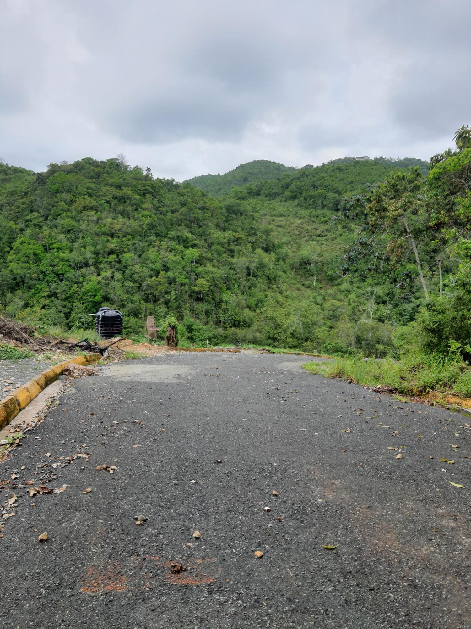 Third image of 50 Woodland Heights, Sterlin in Red Hills, St. Andrew, Jamaica - property is For Sale