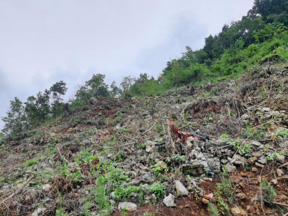 First image of 50 Woodland Heights, Sterlin in Red Hills, St. Andrew, Jamaica - property is For Sale