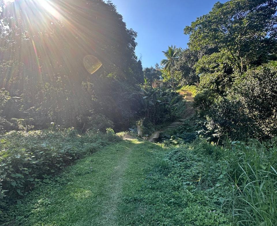 Second image of Lot 178- Part of Golden Spring in GOLDEN SPRING, St. Andrew, Jamaica - property is For Sale
