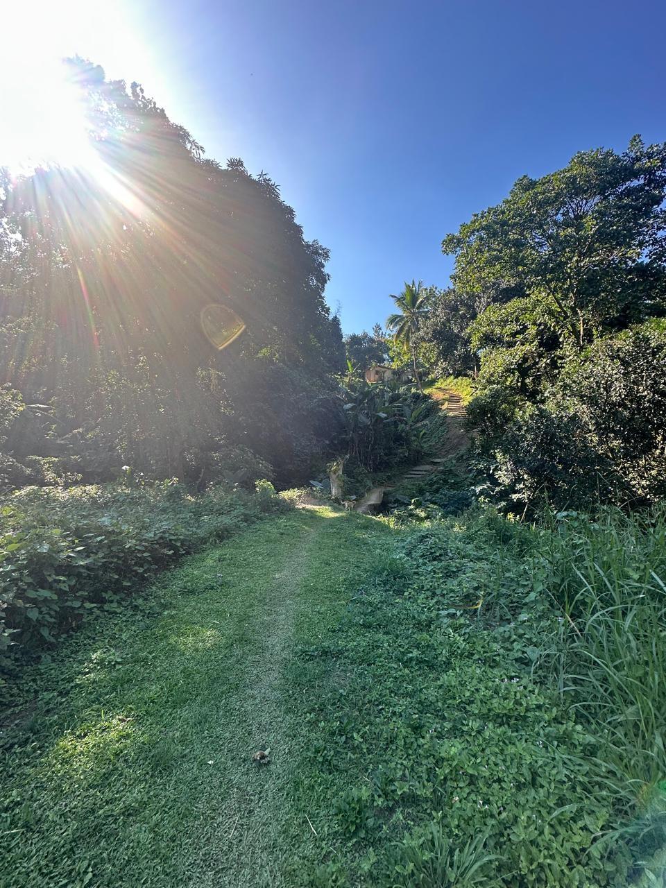Rural-Retreat-for-Sale-in-St.-Andrew-Jamaica-3.5-Acre-Lot Second image of Lot 178- Part of Golden Spring in GOLDEN SPRING, St. Andrew, Jamaica - property is For Sale