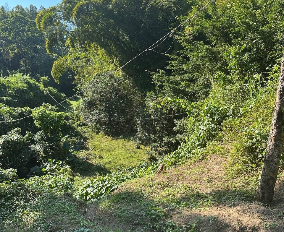 Eleventh image of Lot 178- Part of Golden Spring in GOLDEN SPRING, St. Andrew, Jamaica - property is For Sale